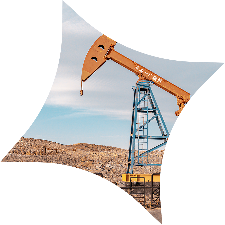 中国石油西南油气田公司